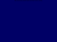 capitalmetals.com