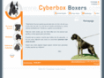 cyberbox-boxers.com