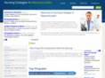 nursingcollegesinmassachusetts.com