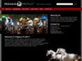 pegasusprofile.com