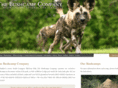 walking-safaris.com