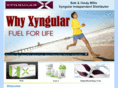 xyngular-core4-xyng.com