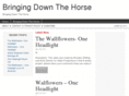 bringingdownthehorse.net