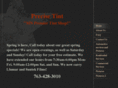 precisetint.com