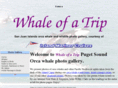 whaleofatrip.com