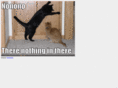 niela.net