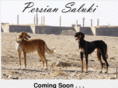 persiansaluki.com