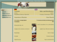 mcs-saleservice.com