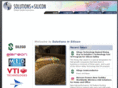 solutionsinsilicon.com