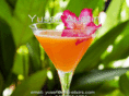 elite-elixirs.com