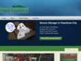 morestoragepeachtreecity.com
