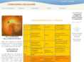 consciencecellulaire.com