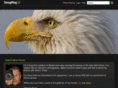 dalefalk.com