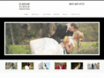 elbaumvideo.com