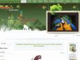 iparrots.com