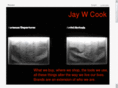 jaywcook.com