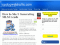 topdogwebtraffic.com