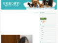 dechichi.com