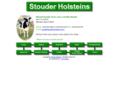 stouderholsteins.com