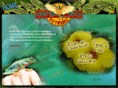 costaricaextreme.com