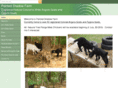 paintedshadowfarm.com