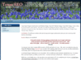 texasseowebsitedesign.com