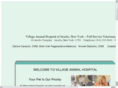 villageanimalhospitaljericho.com