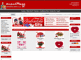 nepalplaza.com