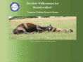 tennessee-walking-horse.com
