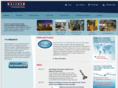 walchem.com