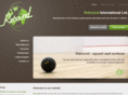 reboundsquash.com