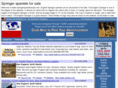 springerspanielforsale.com