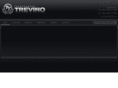 transportestrevino.com
