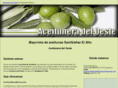 aceituneradeloeste.com