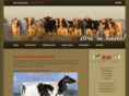 bm-livestock.com