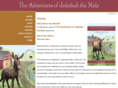 jedediahthemule.com