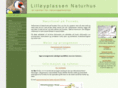 lilloyplassen.net