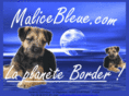 malicebleue.com