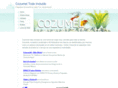 cozumeltodoincluido.com