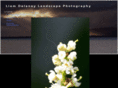 liamdelaneyphotography.com