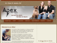 apexchiropracticaz.com