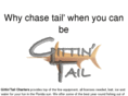 gittin-tail.com