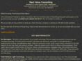rvconsulting.biz
