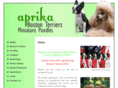 aprika.biz