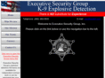 executivesecuritygroupinc.com