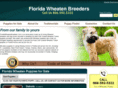 floridawheatenbreeders.com