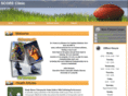 scoreclinic.net