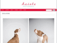 haiete.com