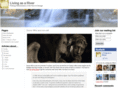 livingasariver.com