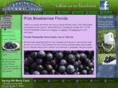 springhillberryfarm.com